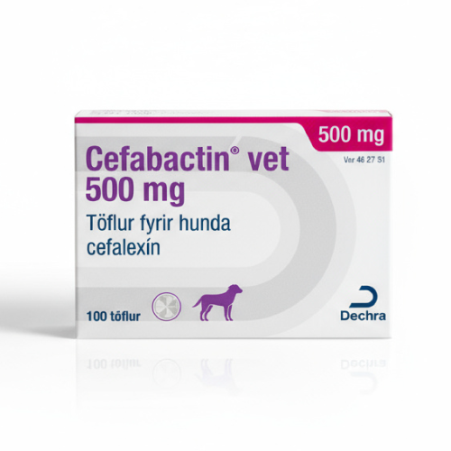 Cefabactin vet. 500 mg