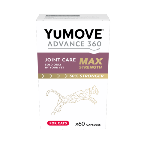 YuMOVE® ADVANCE 360 MAX STRENGTH fyrir ketti