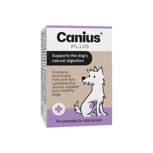 Canius Plus